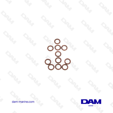 MERCURY INJECTOR SEAL KIT