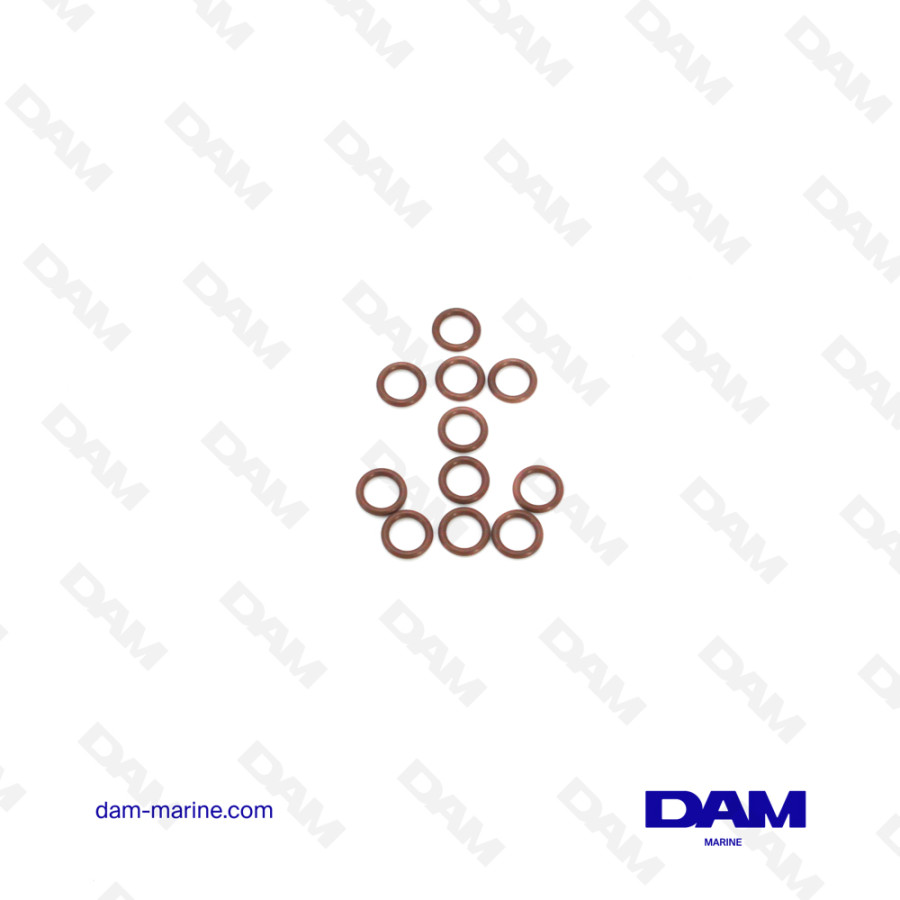 MERCURY INJECTOR SEAL KIT