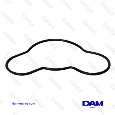 MERCRUISER MPI PUMP O-RING