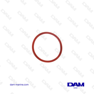 O-RING DI MERCURIO