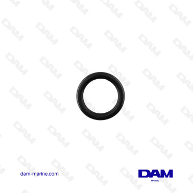 O-RING DI MERCURIO