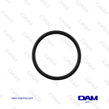 O-RING DI MERCURIO