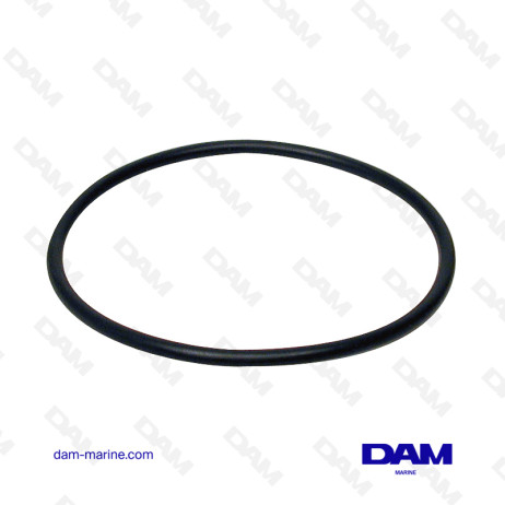 O-RING DI MERCURIO