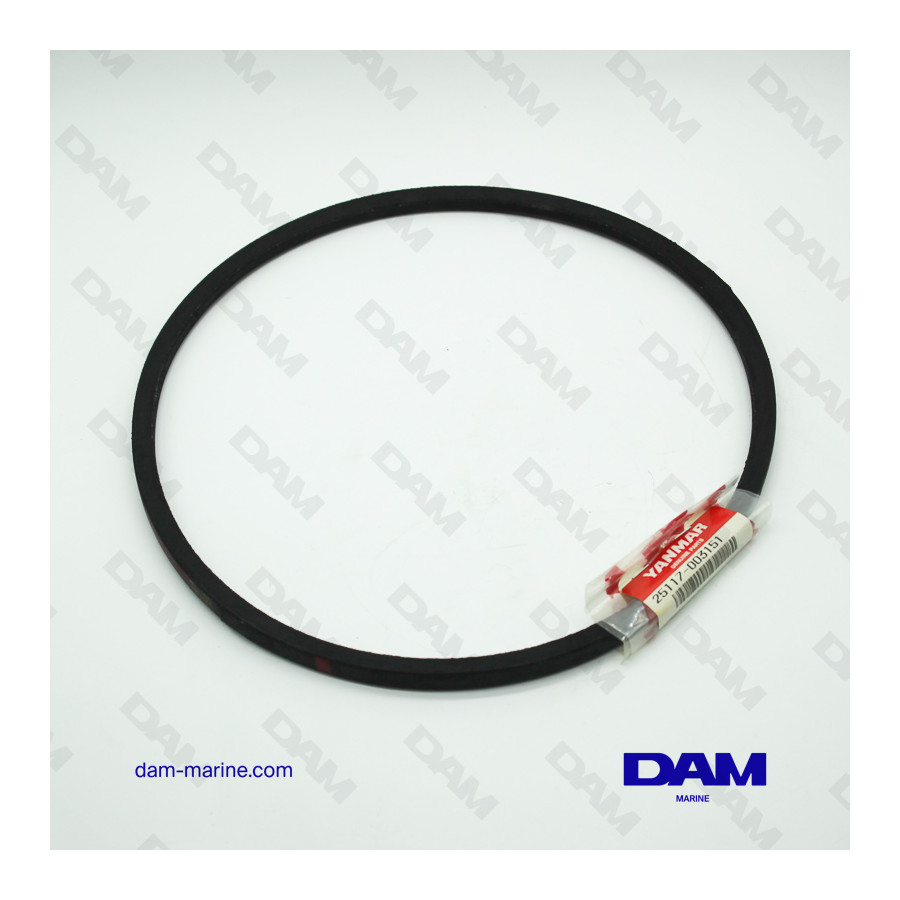 YANMAR 2/3 QM ALTERNATOR BELT