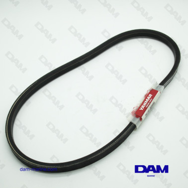 CORREA DEL ALTERNADOR...