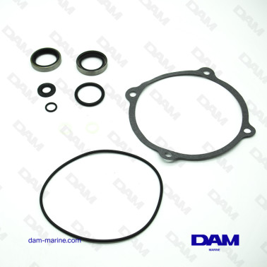 OMC AP80 BASE LIFT SEAL KIT