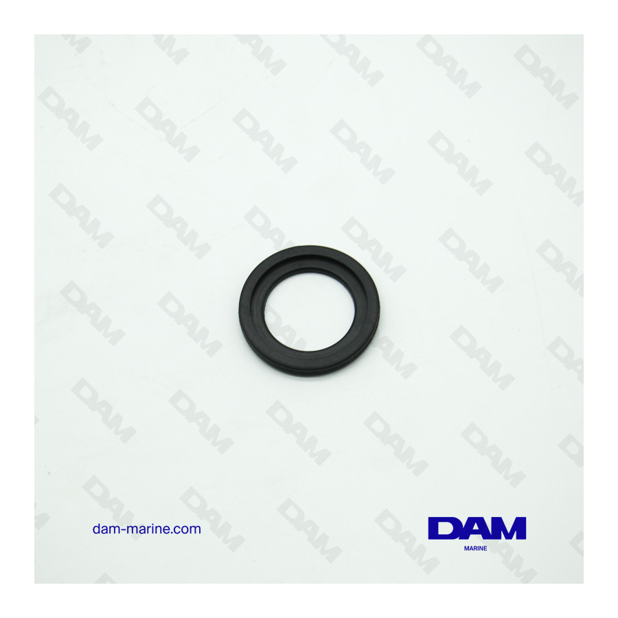 JOINT DE THERMOSTAT MERCURY