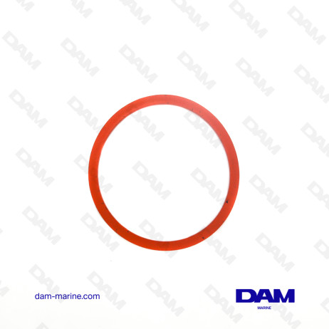 MERCURY REMOTE FILTER GASKET