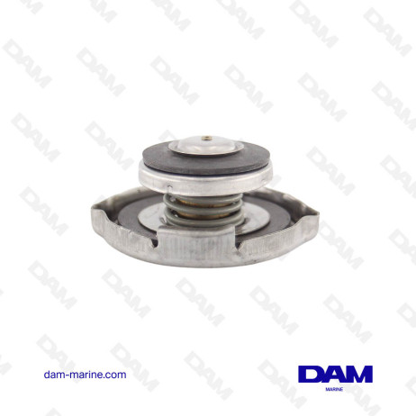 MERCRUISER EXCHANGE PLUG