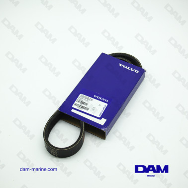 CINGHIA SERPENTINA...