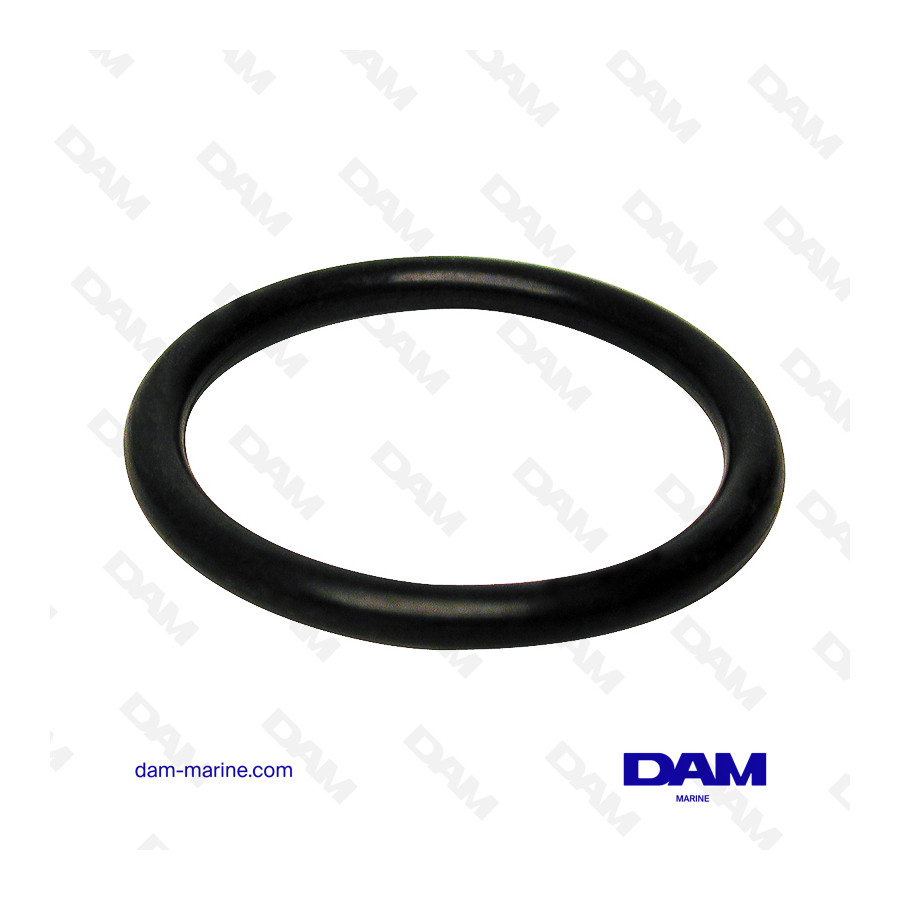 4CYL THERMOSTAT O-RING VOLVO