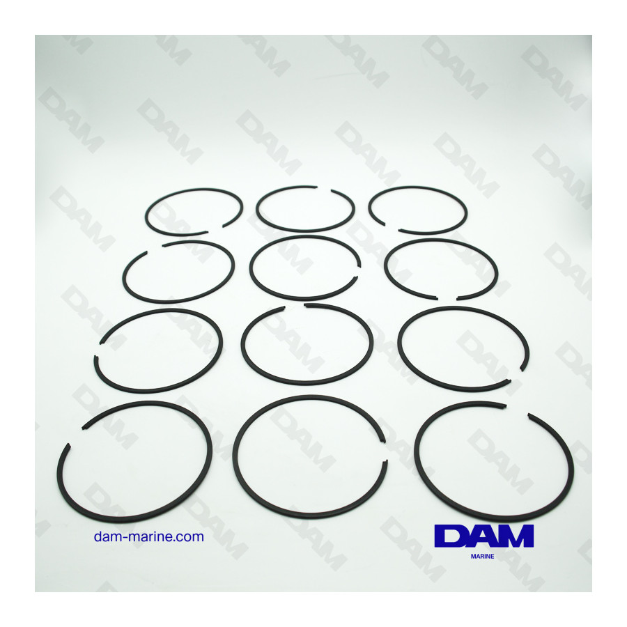 SEGMENTS MERCURY 12 PCS