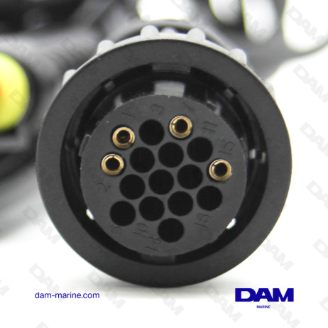 CABLE MARINE AM01 - PRINCIPAL*