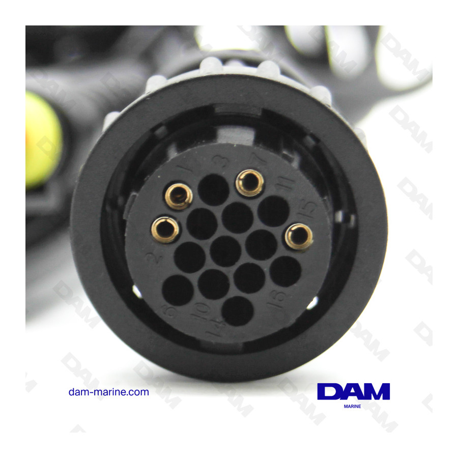 CABLE MARINE AM01 - PRINCIPAL TEXA*