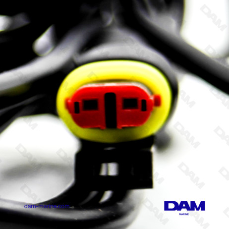 CABLE MARINE AM01 - PRINCIPAL*