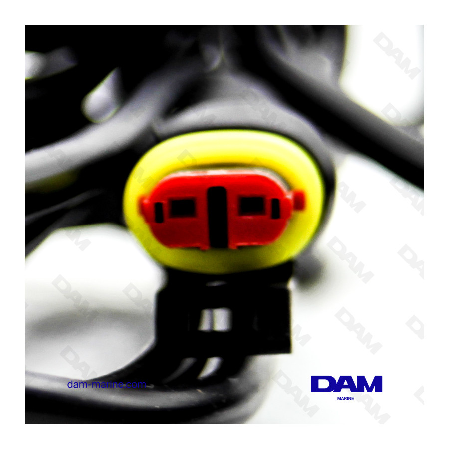 CABLE MARINE AM01 - PRINCIPAL TEXA*