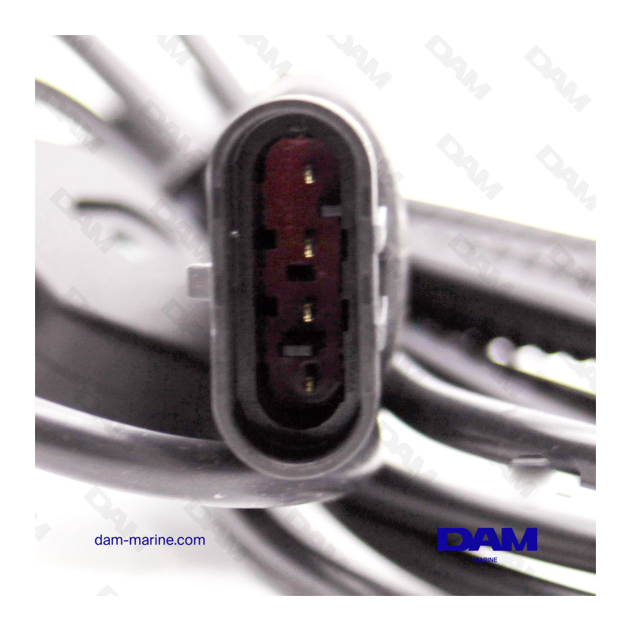 CABLE MARINE AM01 - PRINCIPAL TEXA*