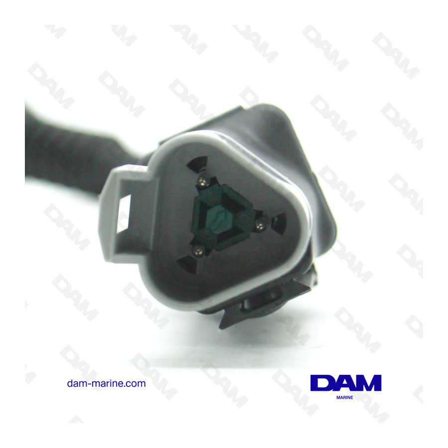 CAVO EVINRUDE - AM13*