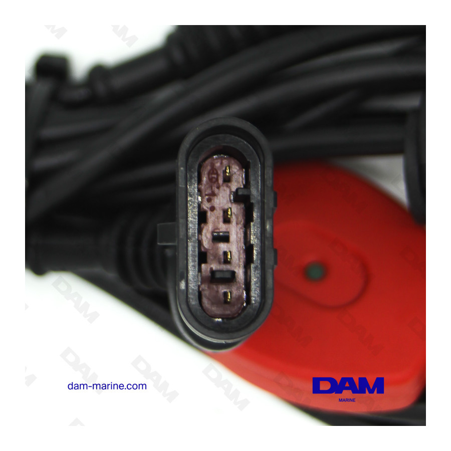 AM01 MARINE CABLE - CAN*