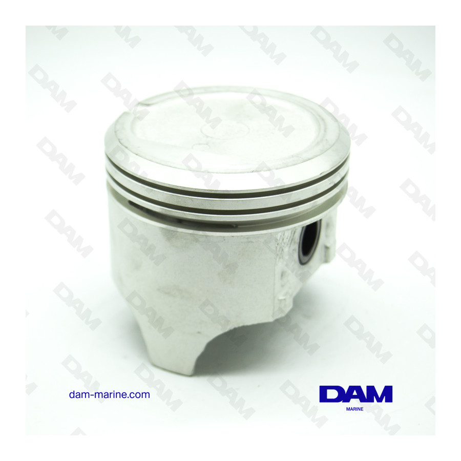 PISTONE GM250 - 0,20