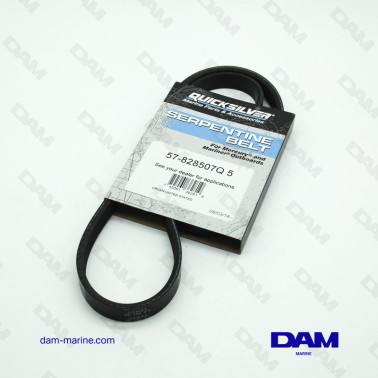 MERCURY SERPENTINE BELT