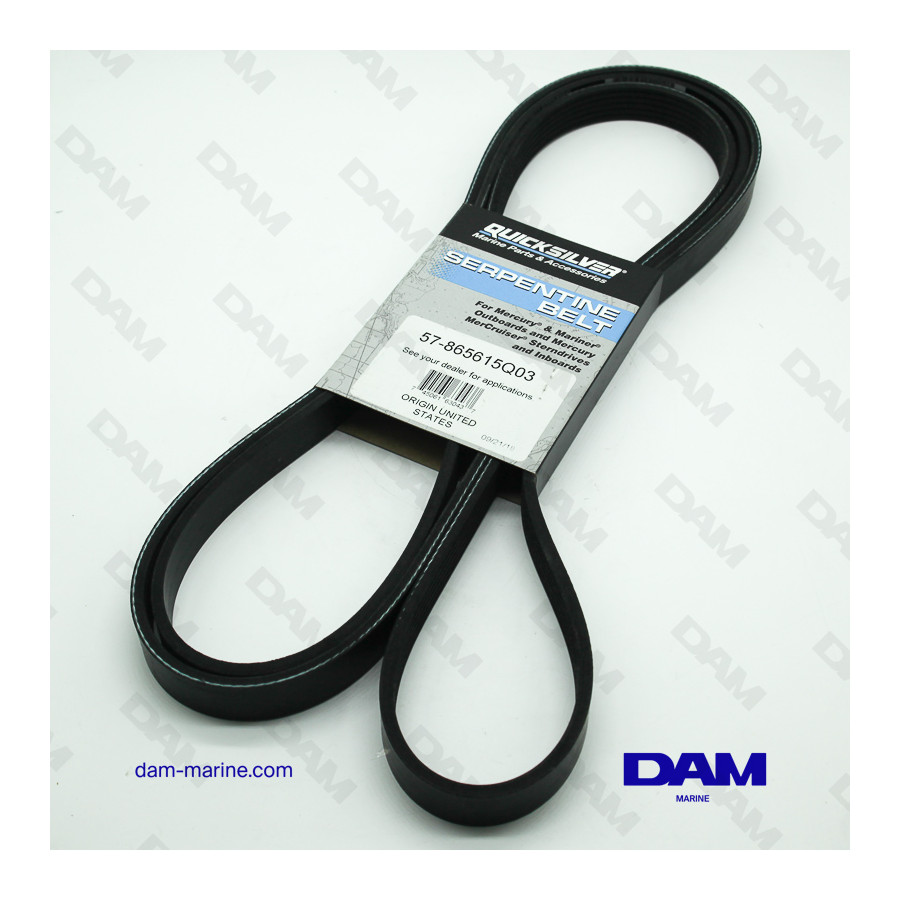 Courroie Serpentine Compatible Moteurs Marine 4.3L 5.0L 5.7L 6.2L 6.3L - Réf. 57-865615Q03 Etc.