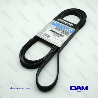 CINGHIA SERPENTINA OEM...