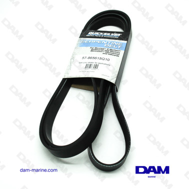 COURROIE SERPENTINE...