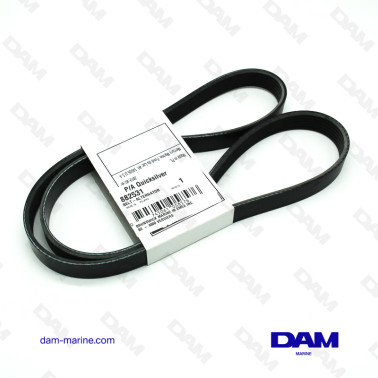 COURROIE SERPENTINE...