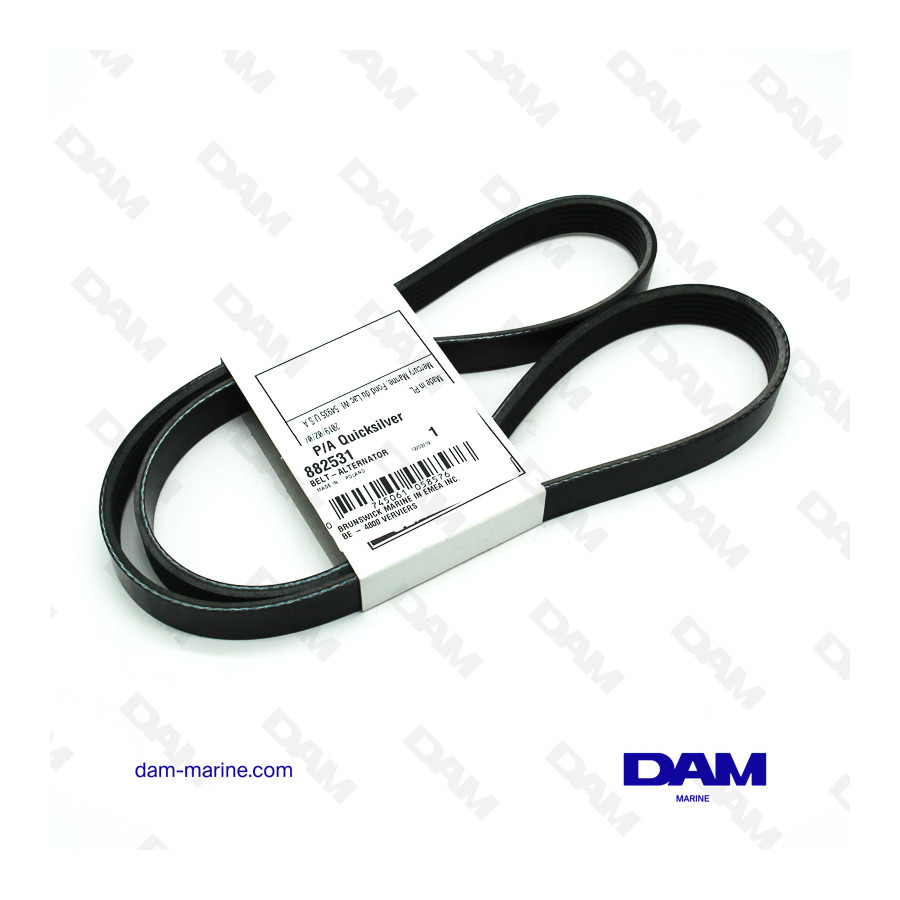 MERCRUISER 1.7 DTI ALTERNATOR SERPENTINE BELT