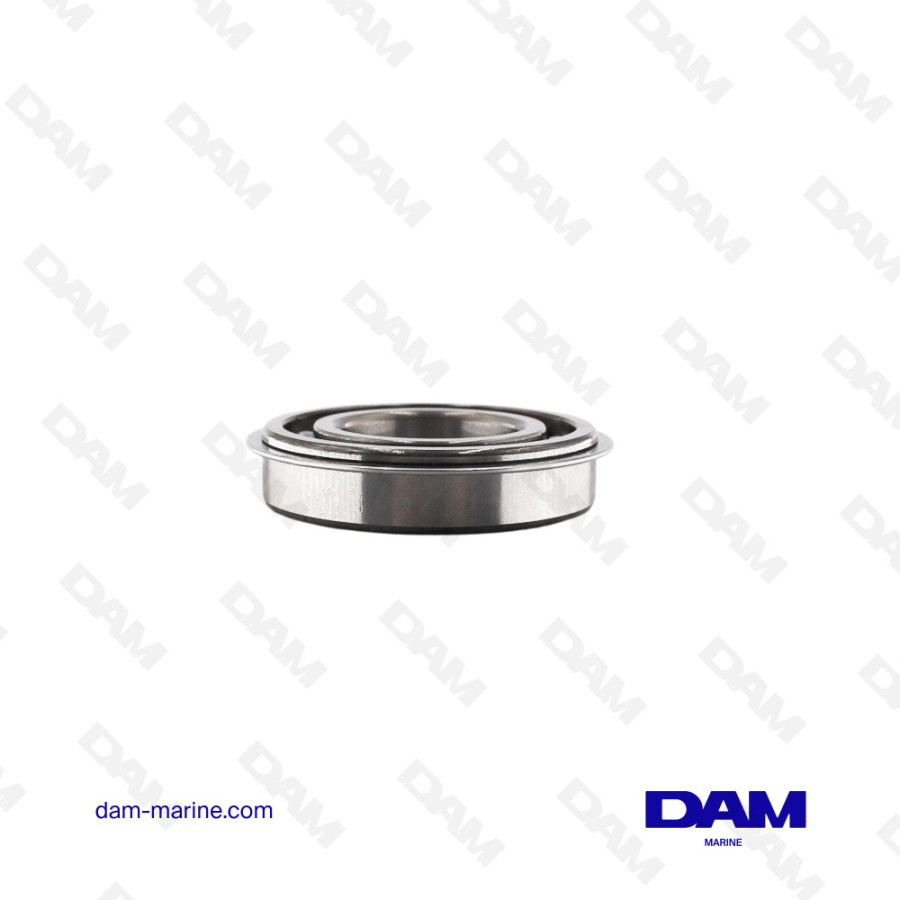 V6 VORTEC BALANCER BEARING