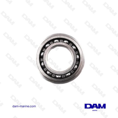 V6 VORTEC BALANCER BEARING