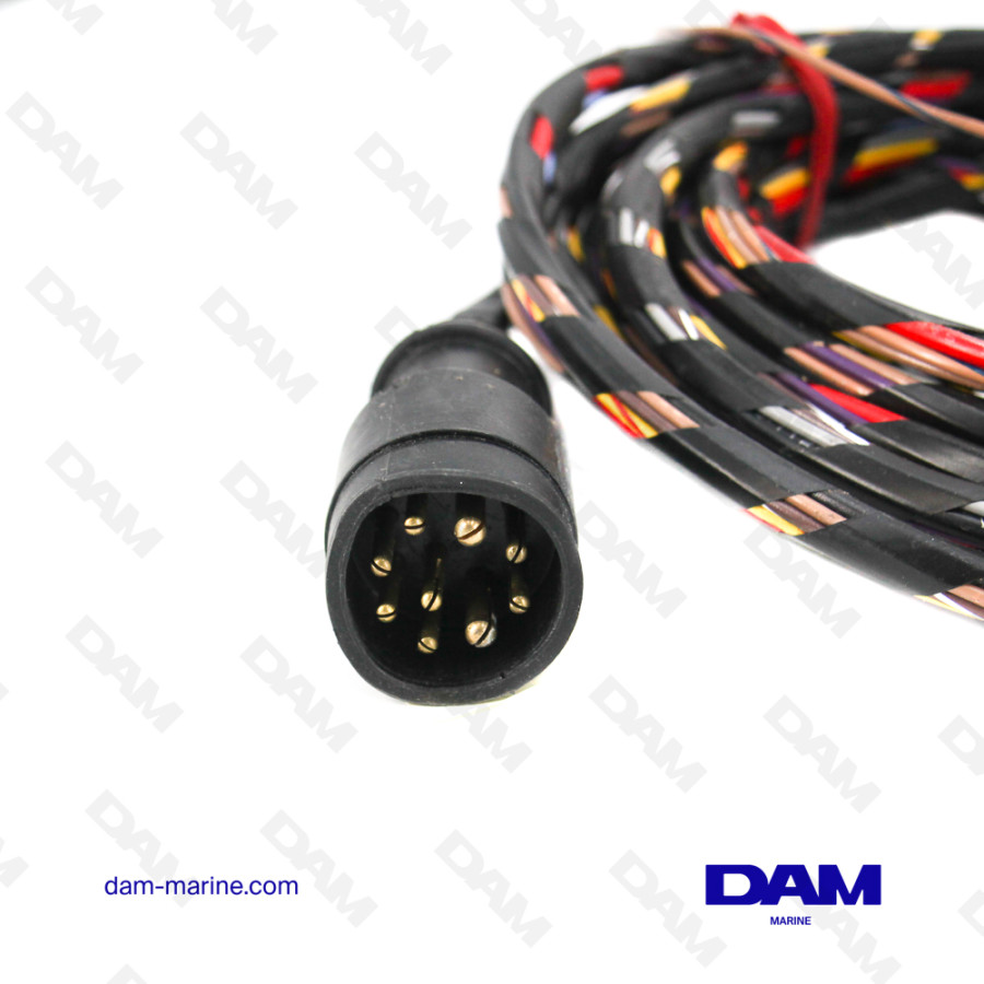 8-9 PIN EXTENSION WIRING HARNESS - 25FT