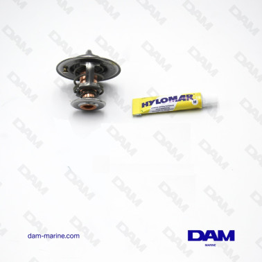 THERMOSTAT VOIR 15419