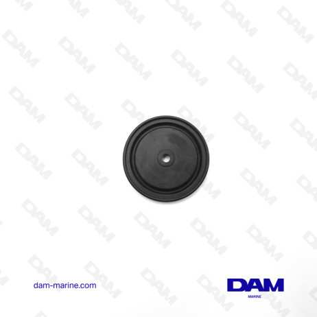DIAPHRAGM EAU MERCURY