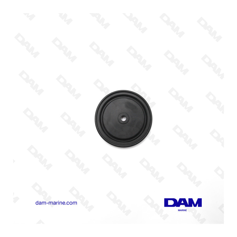 MERCURY WATER DIAPHRAGM