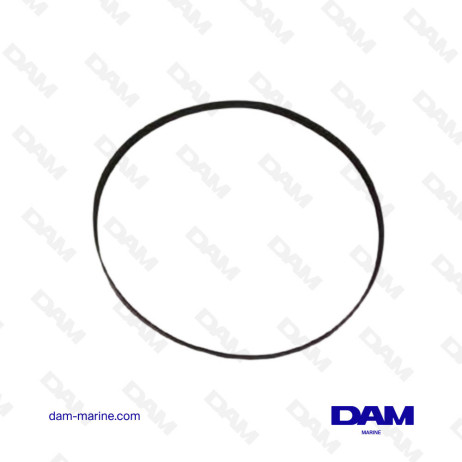 SERPENTINE BELT INDMAR MASTERCRAFT EFI