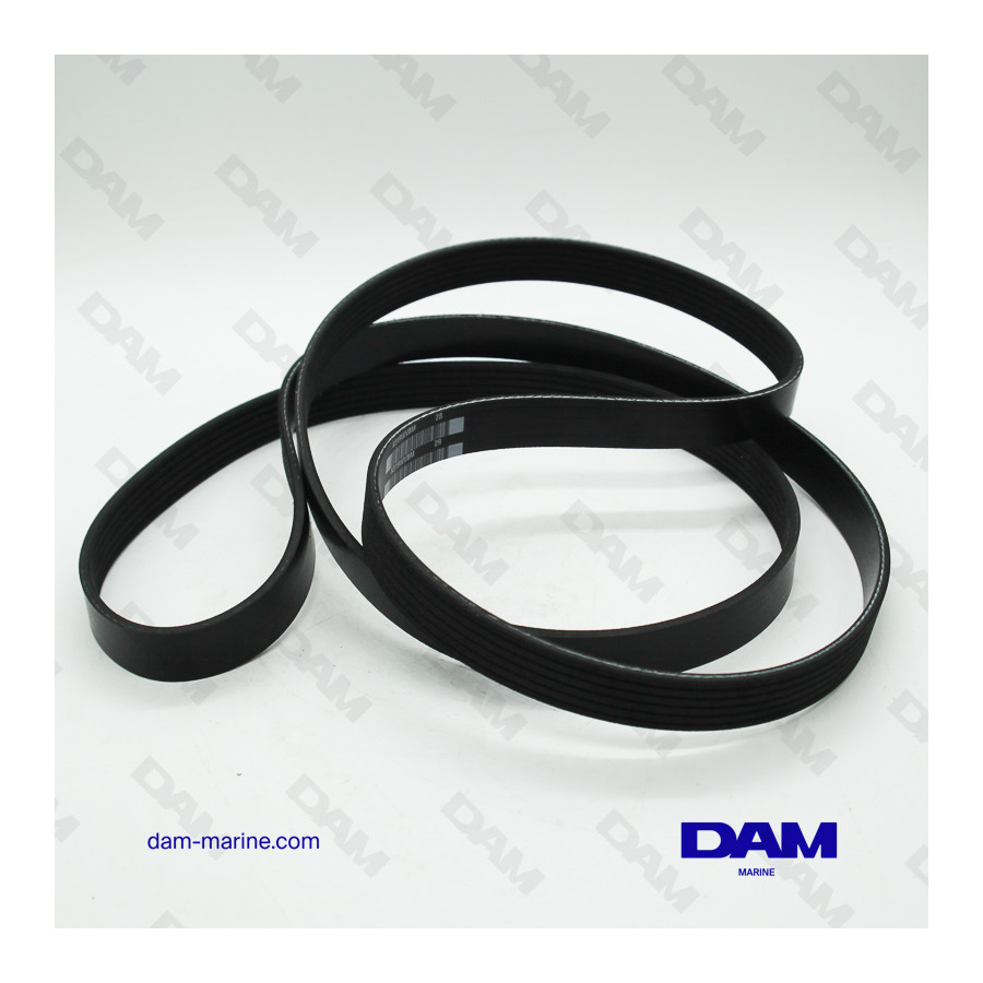 COURROIE SERPENTINE INDMAR RAPTOR 6.2L APRES 2016 - SAUF 575 - 95AMP