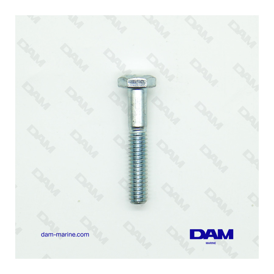 VITE 1/4-20 X 1-1/2