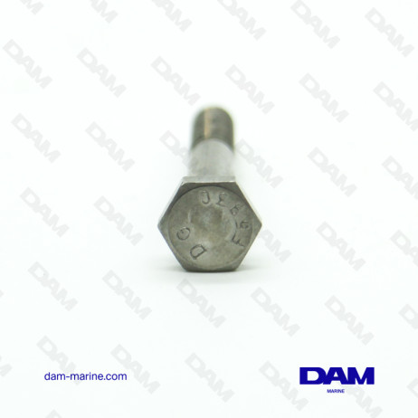SCREW 1/4-20 X 2