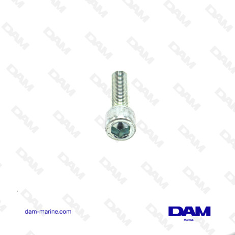 3/8-24 X 1-1/4 BTR SCREW