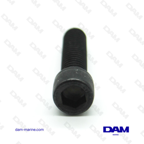 TORNILLO CHC 3/8-16 X 1-1/2