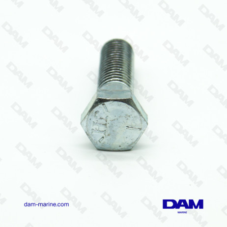 SCREW 1/2-13 X 2