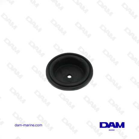 DIAPHRAGM MERCURY
