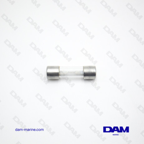 FUSIBLE VOLVO DE 30 AMPERIOS - VIDRIO