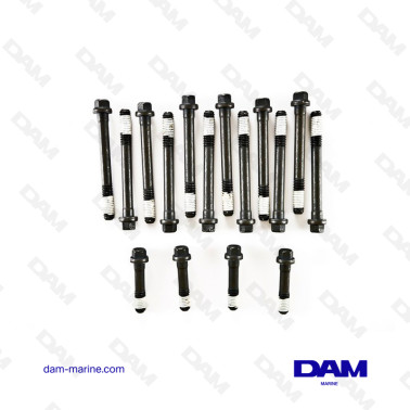 V8 BB CYLINDER HEAD SCREW KIT
