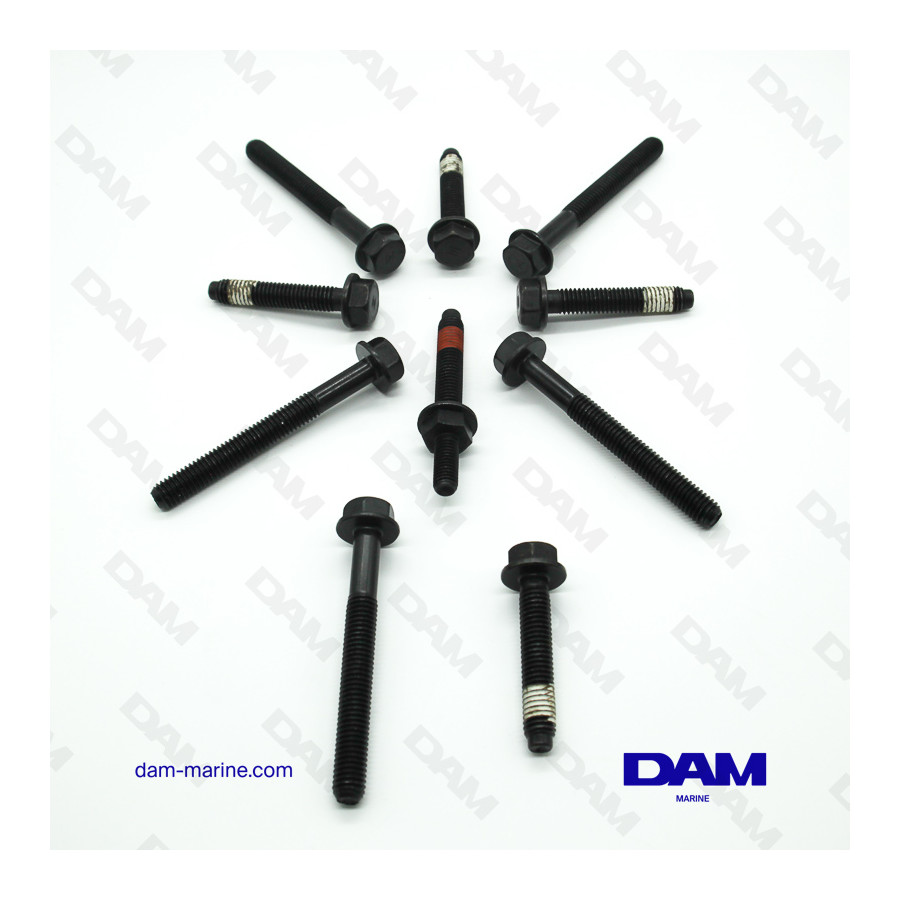FORD 302 CYLINDER HEAD SCREW KIT DIAMETER 10MM
