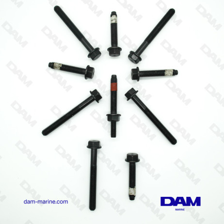 KIT VIS CULASSE FORD 302 DIAMETRE 10MM