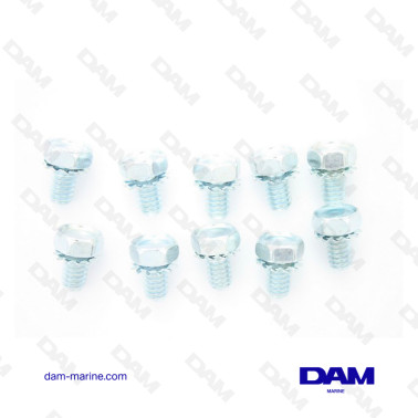 KIT VITI CARTER DISTRIBUZIONE