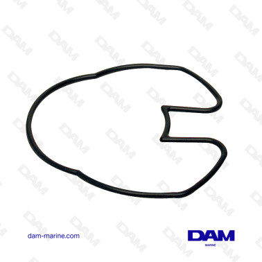 BRP PUMP SEAL 0911704